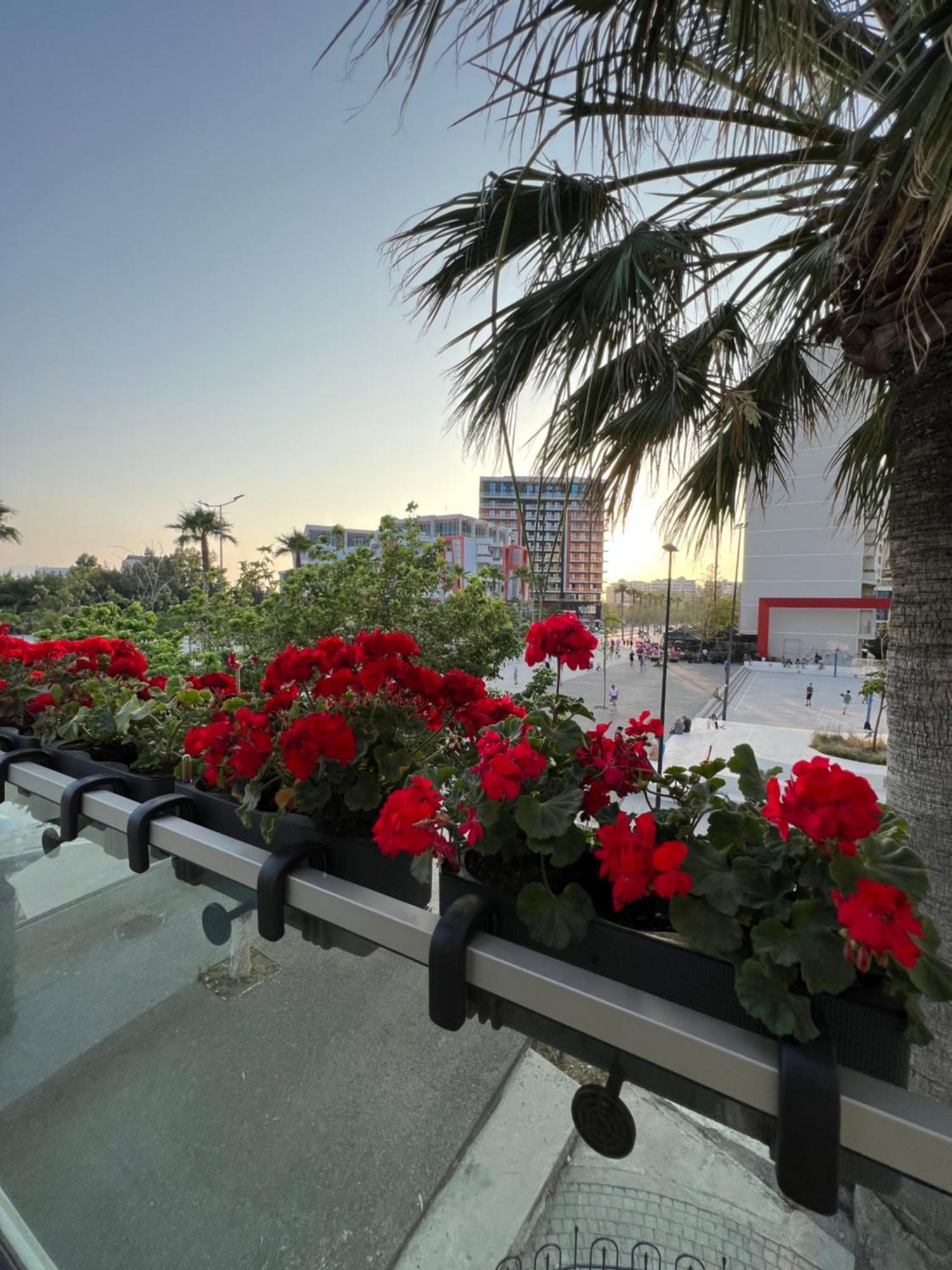 Dot Tradition Vlorë Extérieur photo